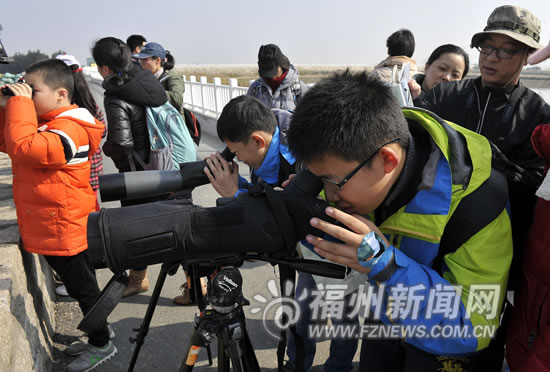 “生态小超人”闽江口觅鸟踪 发现极度濒危鸟种