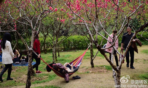 公园又现不文明:把花海踩秃 摧残花枝造花瓣雨