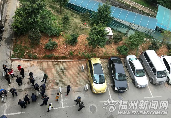 大利嘉城F区占绿地建车位? 物业:将调整绿化