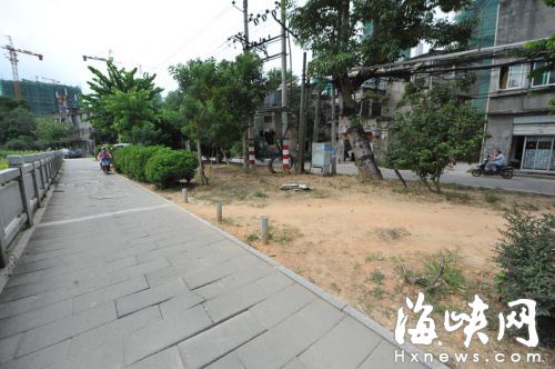 绿道边的大片绿地,被车辆碾秃,露出黄泥地