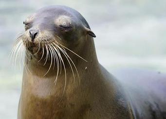 (国际·编辑连线)2017轻松一刻:闭目养神