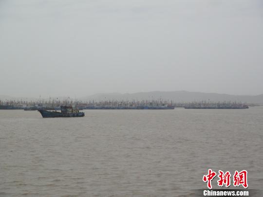 浙江舟山海岛严防“苏力”上千艘渔船回港避风