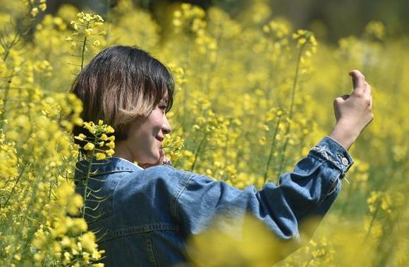 福建农林大学:春花满校园