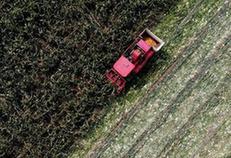 (经济)(2)收获秋粮