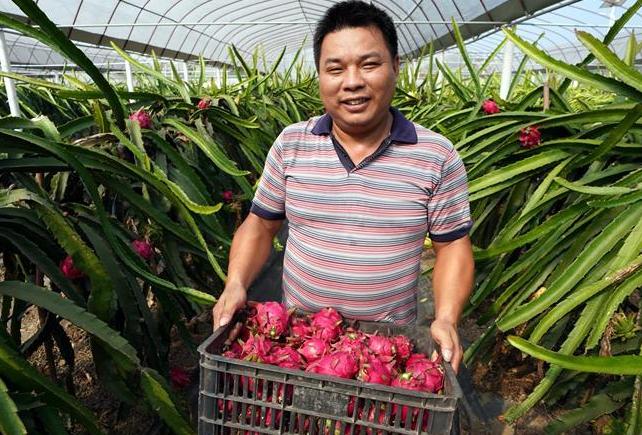 (经济)(1)农业提质 喜获丰收