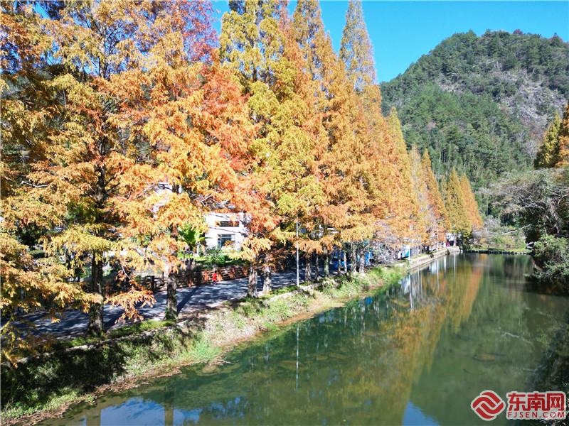 ef308eabe08596e6527cdfdccf8c22c.jpg ef308eabe08596e6527cdfdccf8c22c.jpg