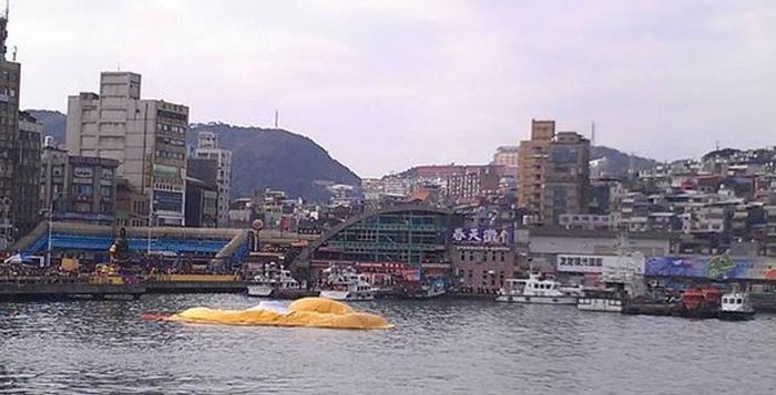 基隆大黄鸭瞬间爆裂泄气 未“活过”2013年 基隆大黄鸭瞬间爆裂泄气 未“活过”2013年