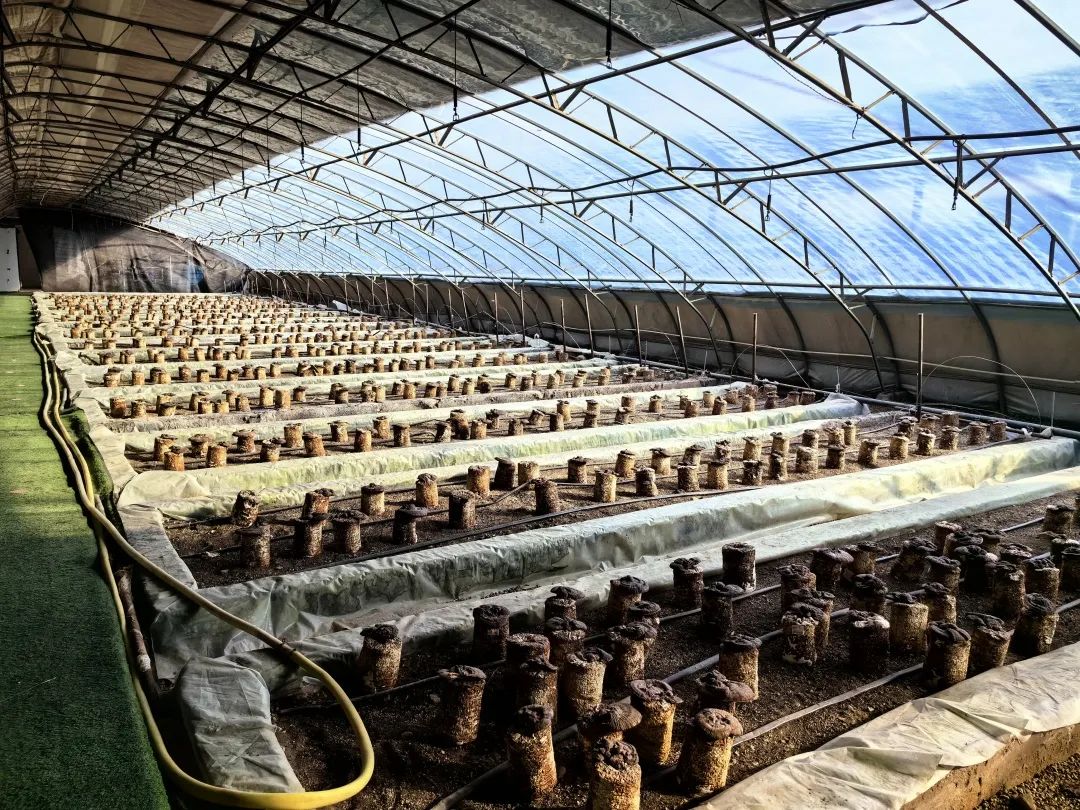 e296d66da98ac17c5bc2071fad12e458_640_wx_fmt=jpeg&from=appmsg&wxfrom=5&wx_lazy=1&wx_co=1.jpg e296d66da98ac17c5bc2071fad12e458_640_wx_fmt=jpeg&from=appmsg&wxfrom=5&wx_lazy=1&wx_co=1.jpg