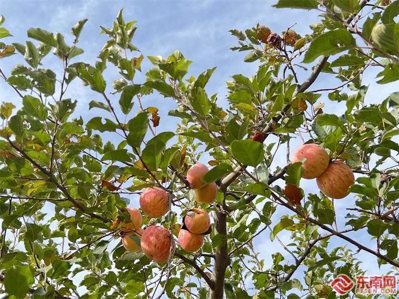 c7e5a438672c86545ee0bf4f119101a9_640_wx_fmt=jpeg&wxfrom=5&wx_lazy=1&wx_co=1.jpg c7e5a438672c86545ee0bf4f119101a9_640_wx_fmt=jpeg&wxfrom=5&wx_lazy=1&wx_co=1.jpg