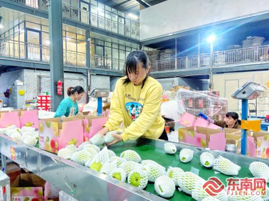 张勋华的公司常年为100多名宝妈提供长期灵活的就业机会，也为女性创业者和女性电商服务者提供交流合作创业平台。 东南网记者 颜财斌 摄1.jpg