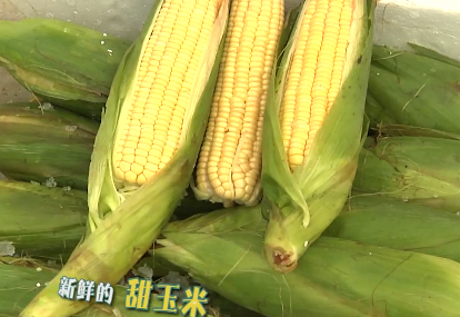 福建省援助湖北省600吨蔬菜产品