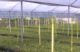 在闽台商：坚定发展信心 深耕大陆市场