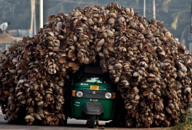 图刊：世界各地的疯狂超载