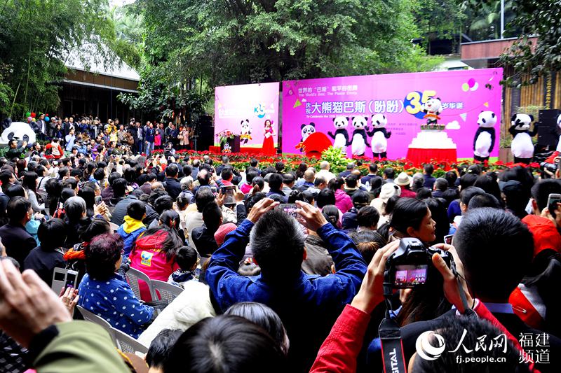 明星大熊猫“巴斯”35岁庆生　福州千人祝寿(图)