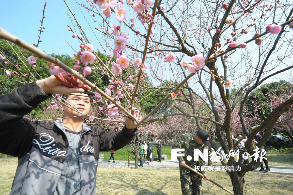 榕城“高颜值” 背后有故事