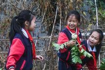 （教育）（1）浙江湖州：校园采摘迎“丰收”