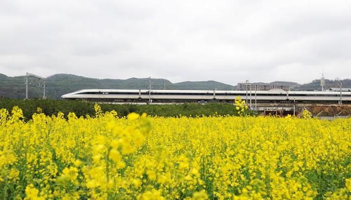 （社会）（2）开往春天的列车