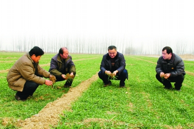 刘树海的“土地故事”