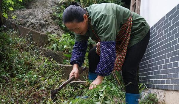 （十九大时光·图文互动）（1）解难题，办大事；不懈怠，谋复兴——来自基层蹲点现场的报道