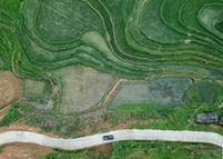 （环境）（2）仲夏梯田美