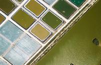 （宁夏60年）（2）盐碱地里“种”对虾