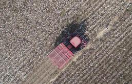 （丰收的味道）（4）“棉海”丰收时