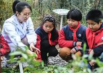 （教育）（3）世界传统医药日 中草药文化进校园