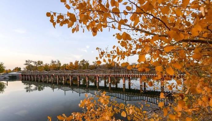 （秋季美丽生态）（1）南疆乡村秋意浓