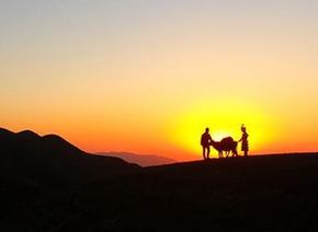 （秋季美丽生态）（2）“云上草场”秋色美