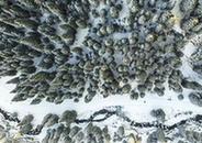 （秋季美丽生态）（1）乌鲁木齐南山雪景美