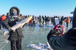 （社会）（1）吉林：电商助力查干湖鱼“游”向全国