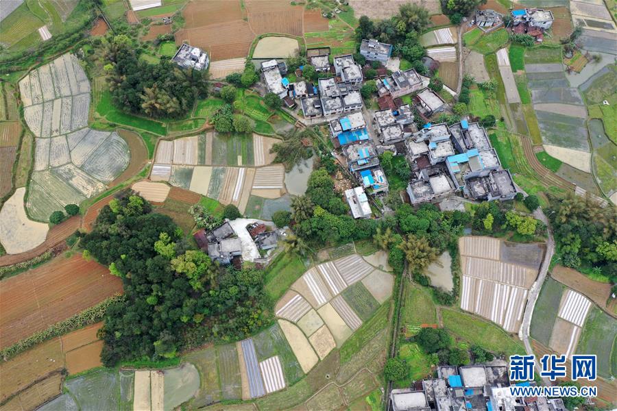 （环境）（6）春到瑶山田景新