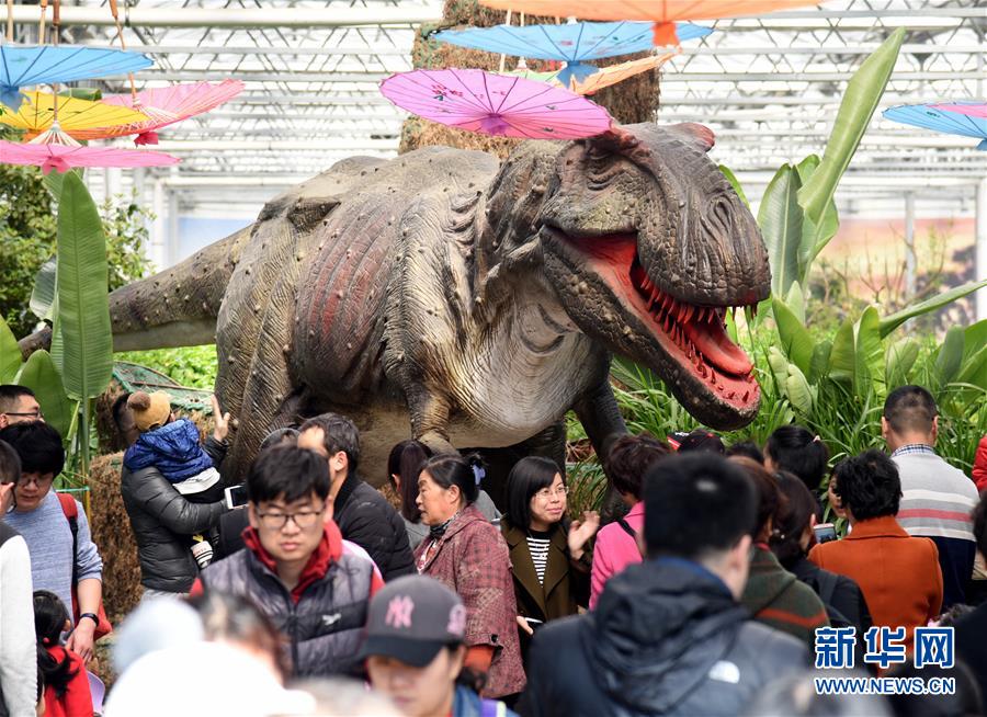 （社会）（1）学科普 看“恐龙”