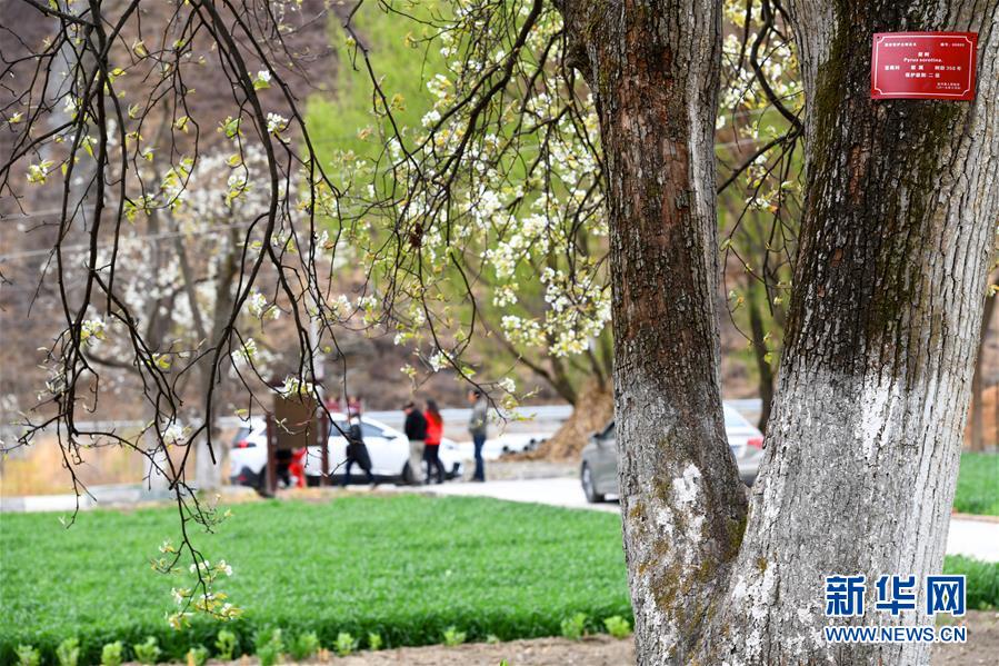 （图文互动）（4）夜宿嘉绒藏家记
