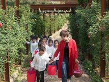 （教育）（1）玫瑰园里的“第二课堂”