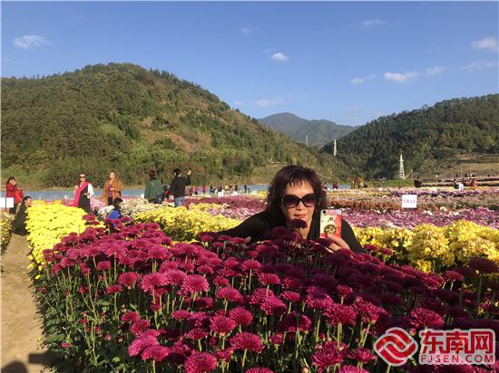 游客在花海中驻足 刘惠萍 摄.jpg